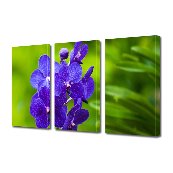 Tablou Multicanvas 3 Piese Flori, Orhidee albastre, 70 x 150 cm