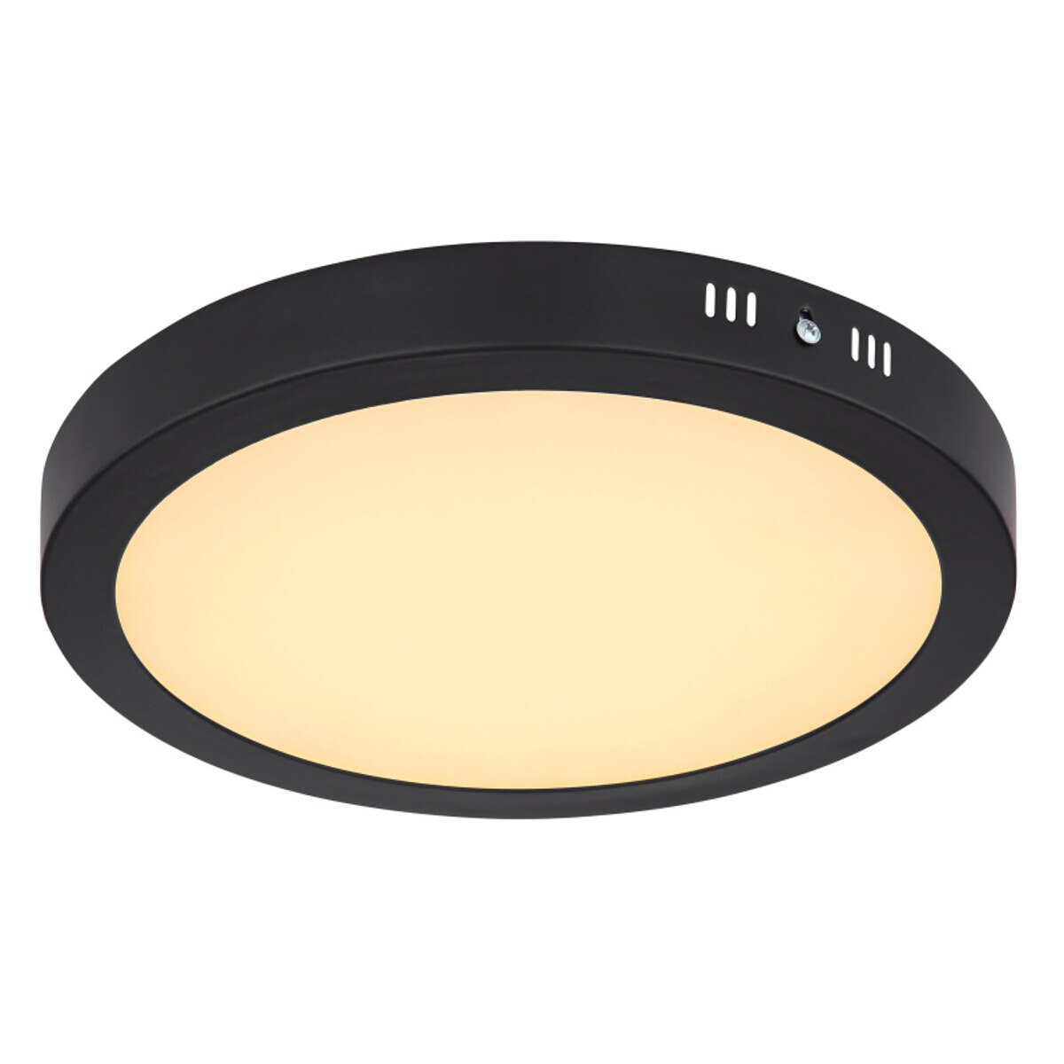 Plafoniera Dino, LED max 22W IL-372219