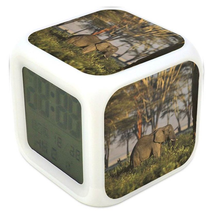 Ceas desteptator cu lumina schimbatoare, Elefant 9, multicilor, plastic, 8 cm, cu grafica pe trei fete