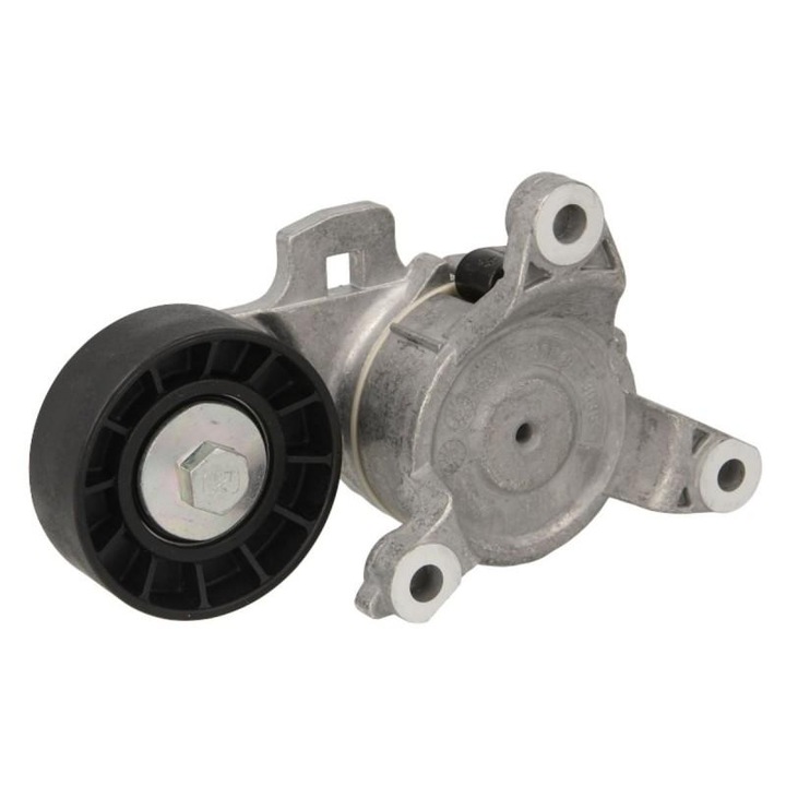 Intinzator curea, curea distributie Citroen C5 III 2008-> RD APV2712