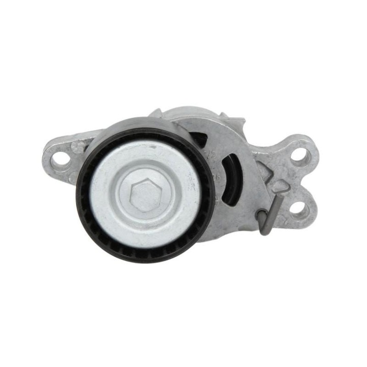 Обтегач на ремък, ангренажен ремък Peugeot 206 2009-2016 T3E 534 0179 10