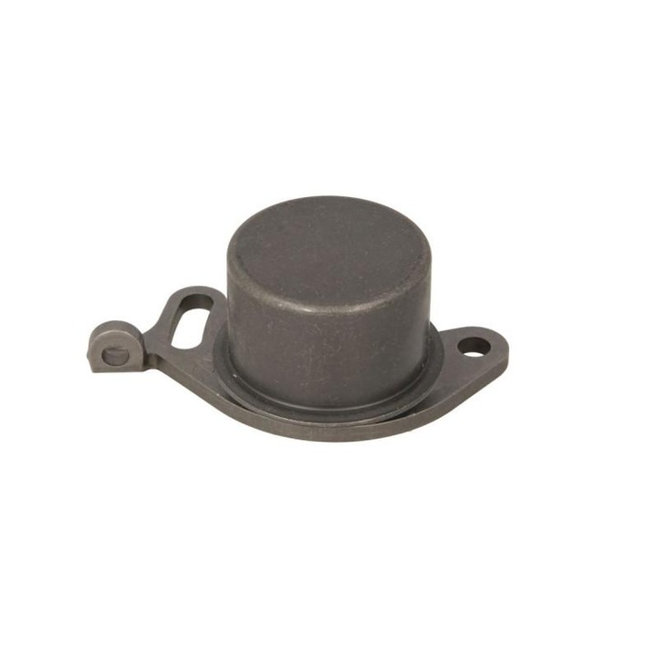 Rola intinzator, curea distributie BMW Seria 3 1975-1984 E21 531 0001 10