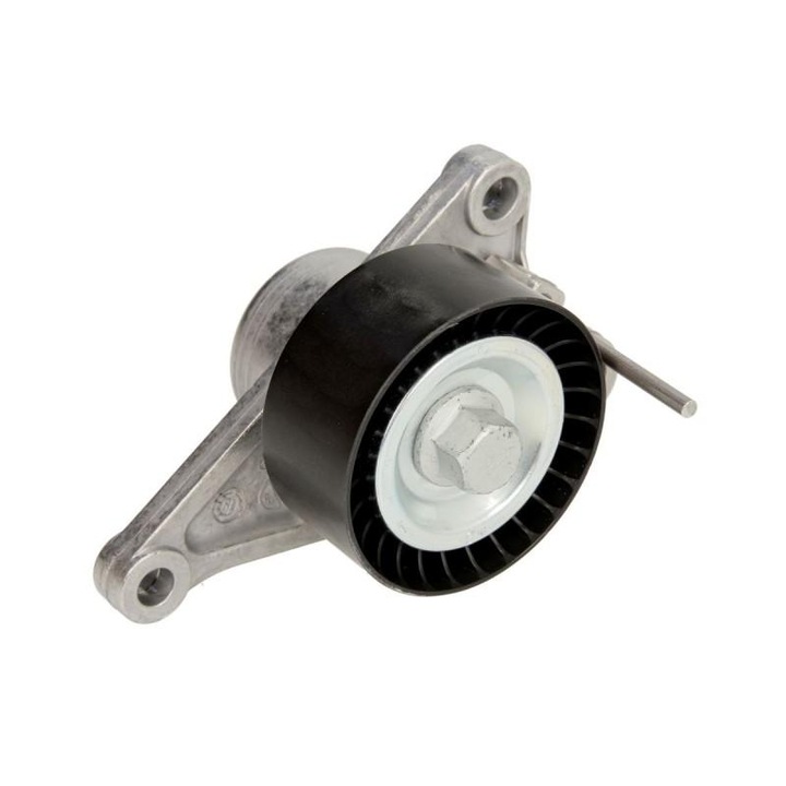 Intinzator, curea transmisie Renault Grand Scenic III 2009-> JZ0/1 534 0281 10