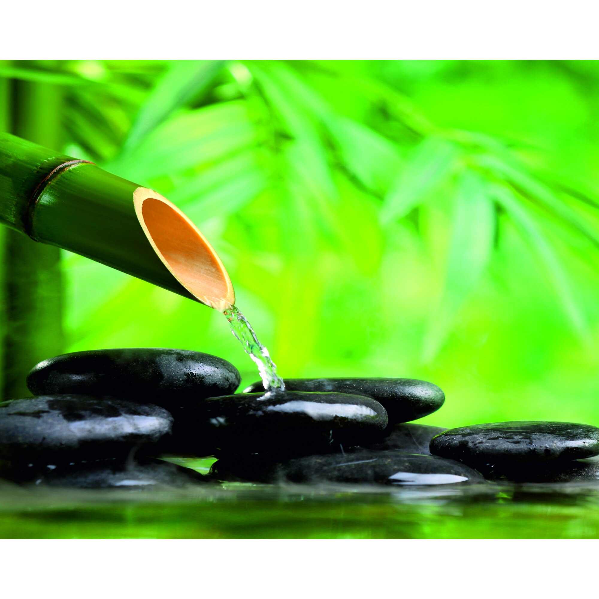 Panou sticla decorativa bucatarie 600 x 900 mm Bambus, Silicon de montaj inclus