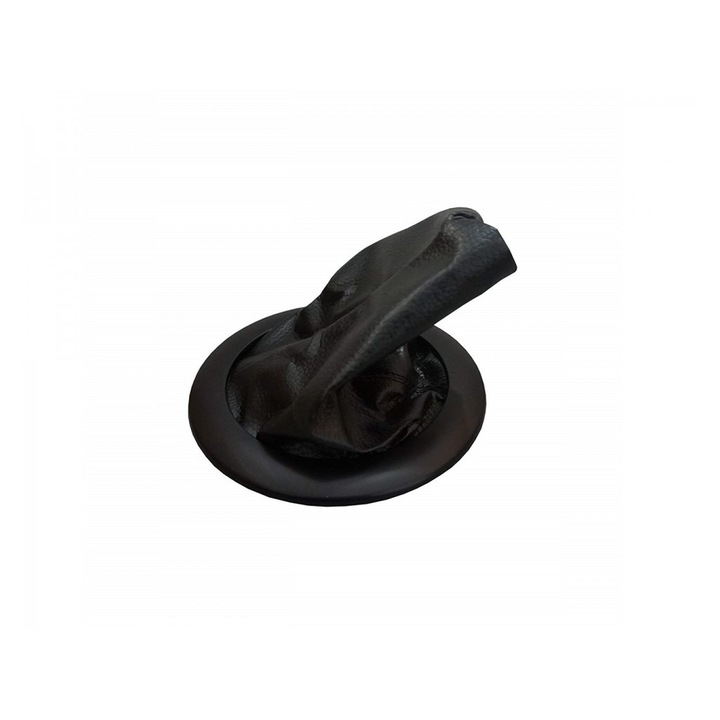 Manson schimbator viteze, Renault Megane 2