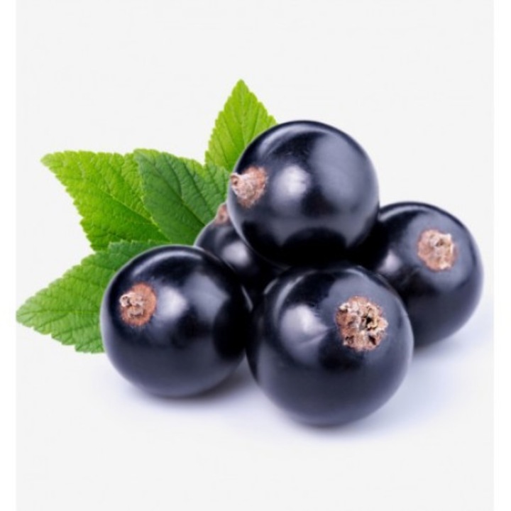 Női parfüm Miseho 100 ml Yodeyma