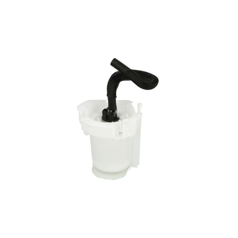 Sistem alimentare cu combustibil 313011313009