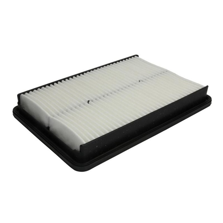 Filtru aer Hyundai Santa Fe 3 2012-> DM, DMA C 29 019