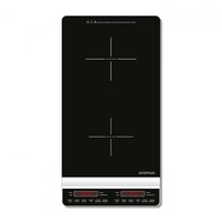 plita electrica cu inductie g3ferrari  g10139 verticala 2 ochiuri 3100w reglare temperatura si putere control soft touch timer si afisaj lcd oprire automata super-slim imagen 42_0_
0