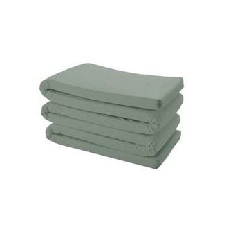 Husa de protectie pentru patut, BabyDan, Verde Husa de protectie pentru patut, BabyDan, Verde