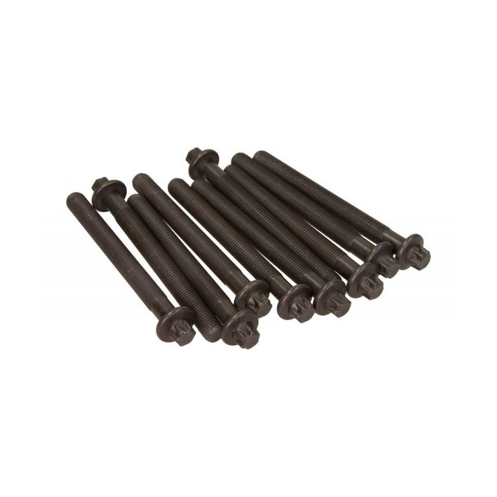 Set suruburi chiuloasa Renault Scenic II 2003-> JM0/1 14-32154-01