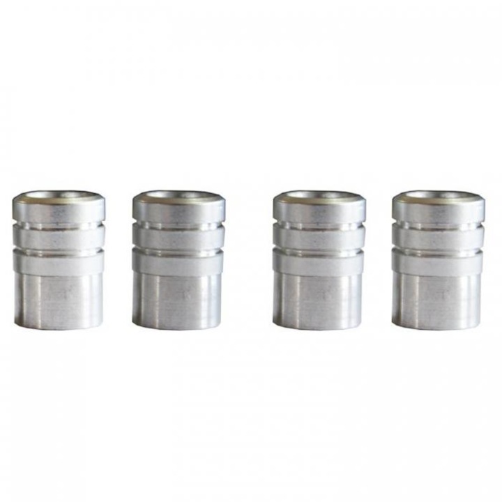 Set capace pentru robinet, Paolo, Gri, 4 bucati