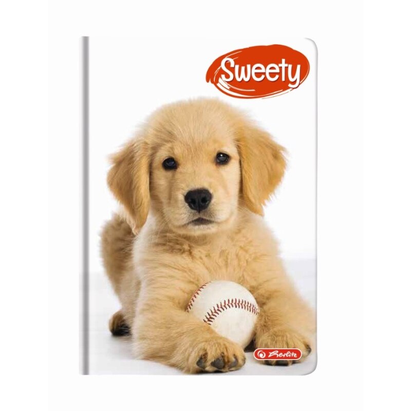 Agenda a6 nedatata sweety 352 file motiv golden retriever