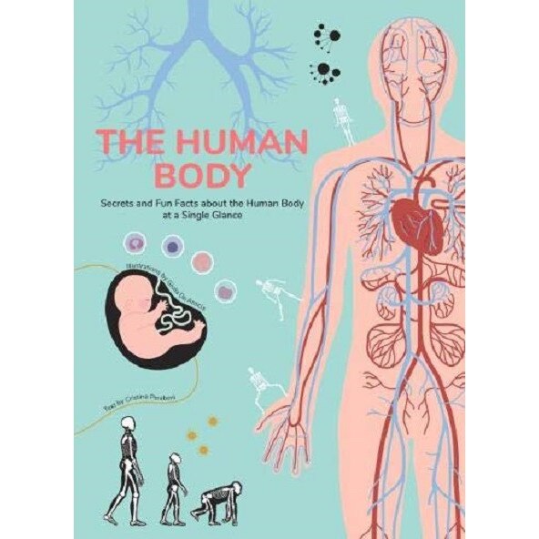 The Human Body - Cristina Peraboni