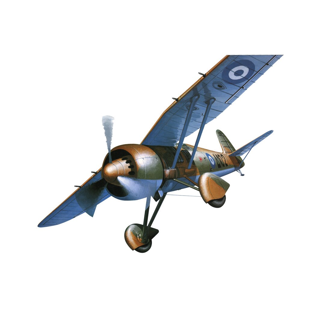 Macheta aeromodele MisterCraft P-24B/E/F/G 