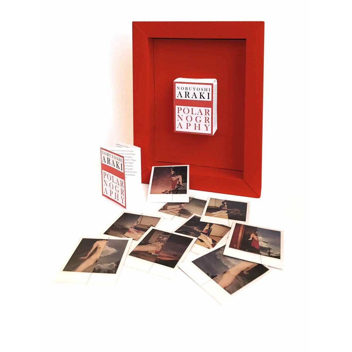 Nobuyoshi Araki Polarnography - Filippo Maggia