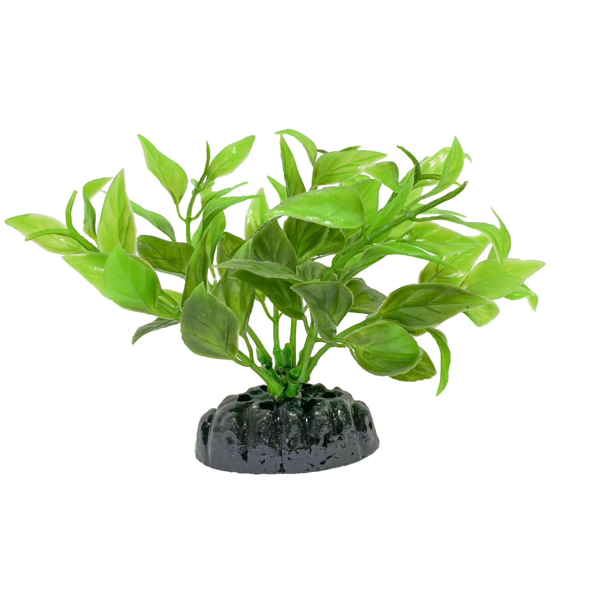 Planta artificiala Ludwigia verde 13 cm
