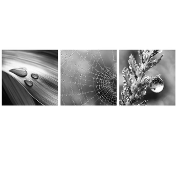 Set 3 tablouri pe sticla Drops, Styler, fara rama, alb/negru, 20 x 20 cm Set 3 tablouri pe sticla Drops, Styler, fara rama, alb/negru, 20 x 20 cm
