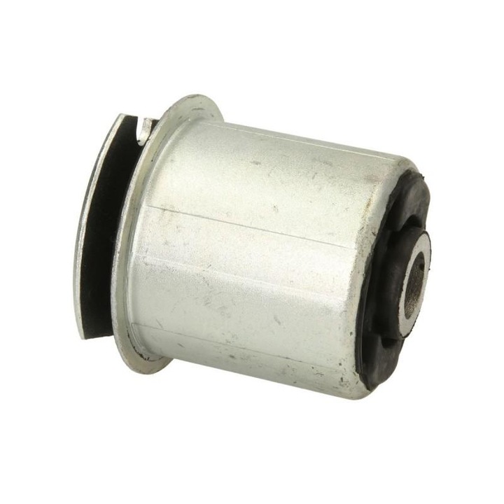 Носач, ос Renault Scenic II 2003-> JM0/1 4005526