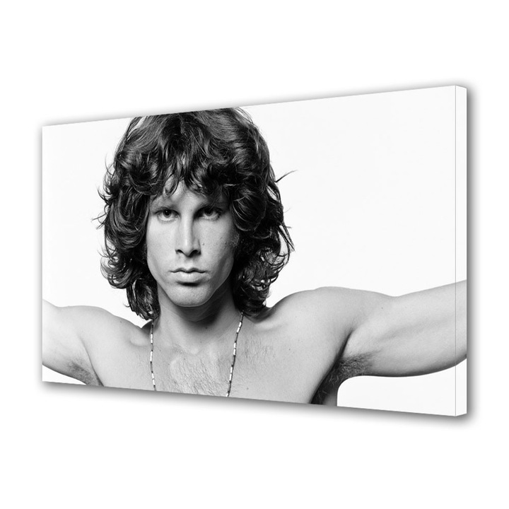 Tablou Canvas Personalitati Jim Morrison de la The Doors, 80 x 160 cm