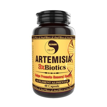 Supliment alimentar Artemisia 3xBiotics, Pro Natura, 40 Capsule Supliment alimentar Artemisia 3xBiotics, Pro Natura, 40 Capsule