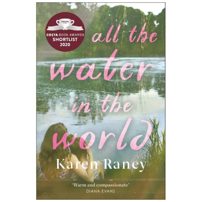 All the Water in the World (Shortlisted for the Costa First Novel Award) - Karen Raney