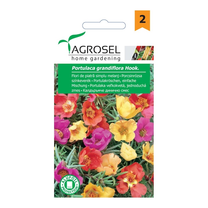 Seminte Flori de piatra simplu mj, Agrosel home gardening, 0,4 g