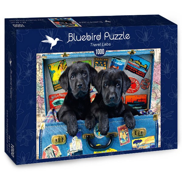 Puzzle Bluebird - Travel labs, 1000 piese