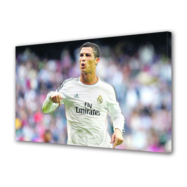 Tablou Canvas Personalitati Cristiano Ronaldo pe teren, 30 x 45 cm
