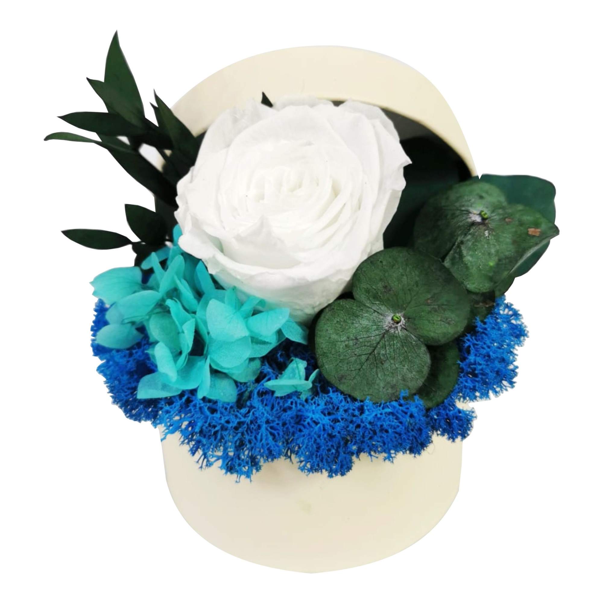 Aranjament floral in cutie cadou crem cu Trandafir Criogenat Alb , D art Flowers, cu licheni stabilizati albastru
