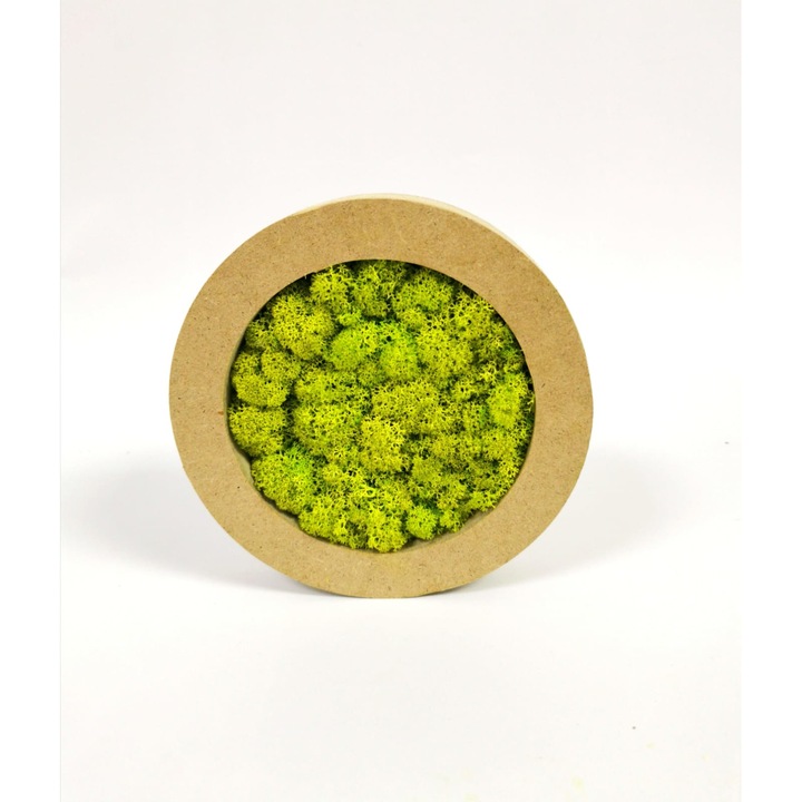 Tablou Rotund de lemn cu licheni stabilizati, diametru 15 cm