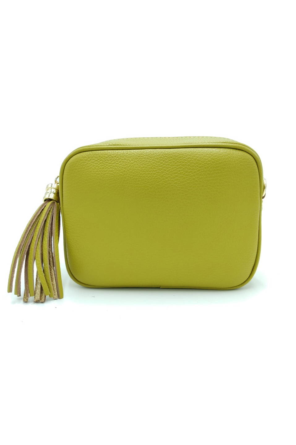 Geanta casual Carla Da Firenze din piele naturala tip dollaro, de mana si umar, verde fistic, LaRue