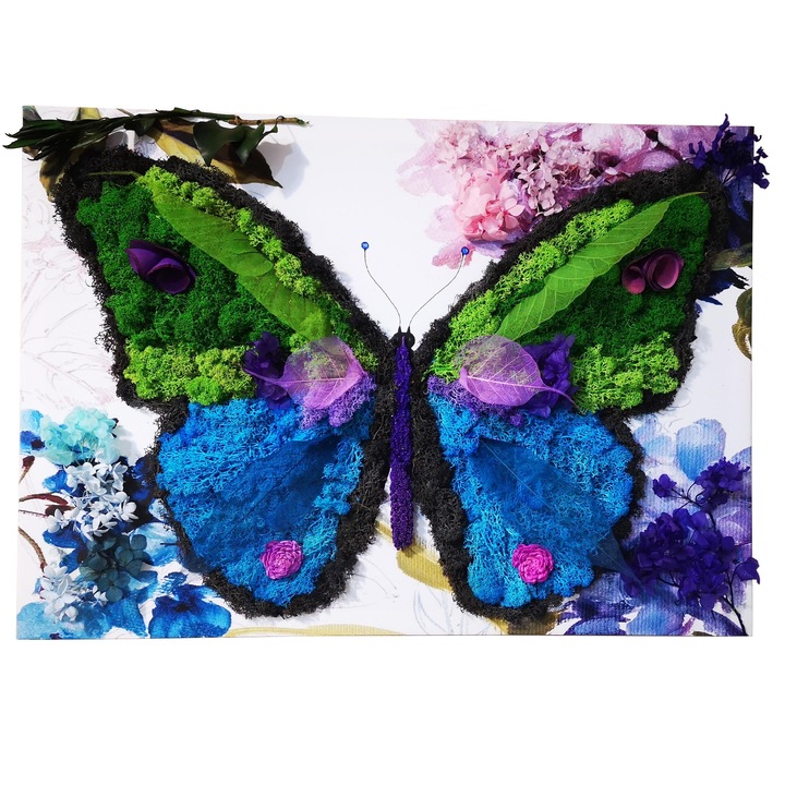 Tablou cu flori si plante naturale criogenate, licheni, Fluture, Valicity, 50 cm x 40 cm