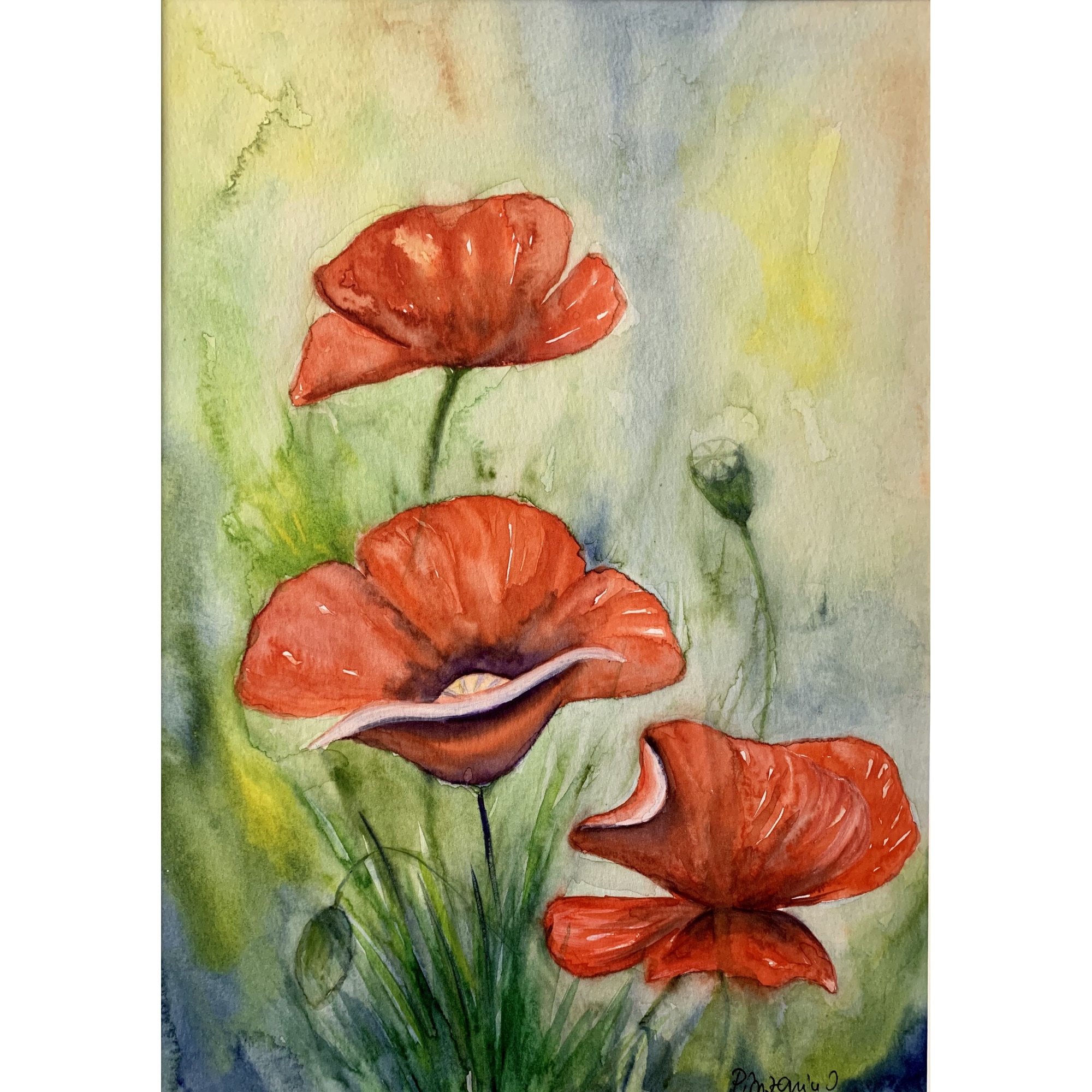 Pictura in acuarela Red poppies- pictat manual, dimensiune 20 * 28 cm