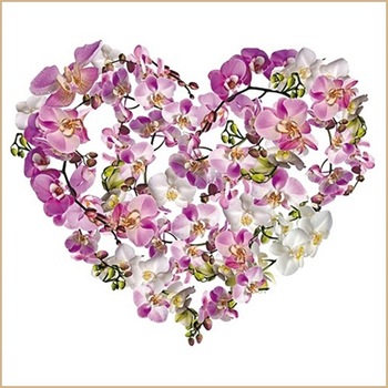 Sticker geam - inima florala colorata, 30 x 33.5 cm, W8180.3 Sticker geam - inima florala colorata, 30 x 33.5 cm, W8180.3