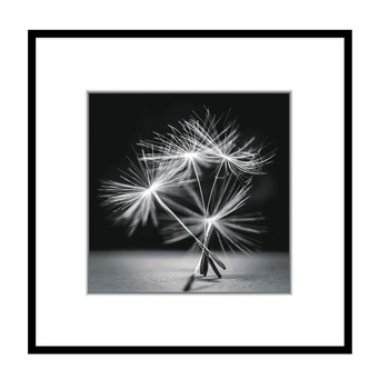 Tablou Dandel I, Styler, cu rama, multicolor, 50x50 cm Tablou Dandel I, Styler, cu rama, multicolor, 50x50 cm