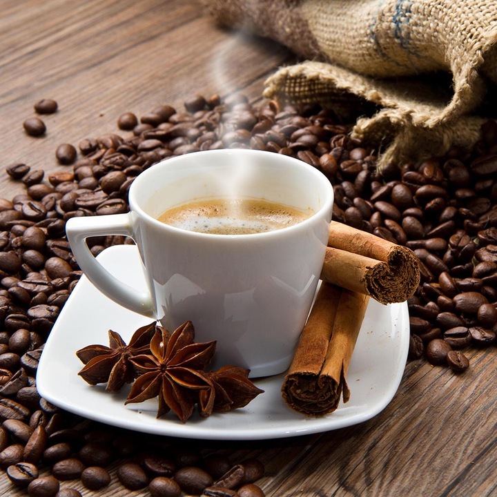 Panou decorativ sticla bucatarie, protectie aragaz, antistropire, Print UV, octopus, imprimata Multicolor, 600mmx600mm oct172-60x60