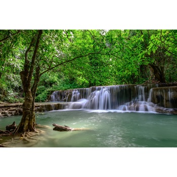Fototapet de perete autoadeziv si lavabil Cascada44 Cadere de apa in padurea verde, 220 x 135 cm Fototapet de perete autoadeziv si lavabil Cascada44 Cadere de apa in padurea verde, 220 x 135 cm