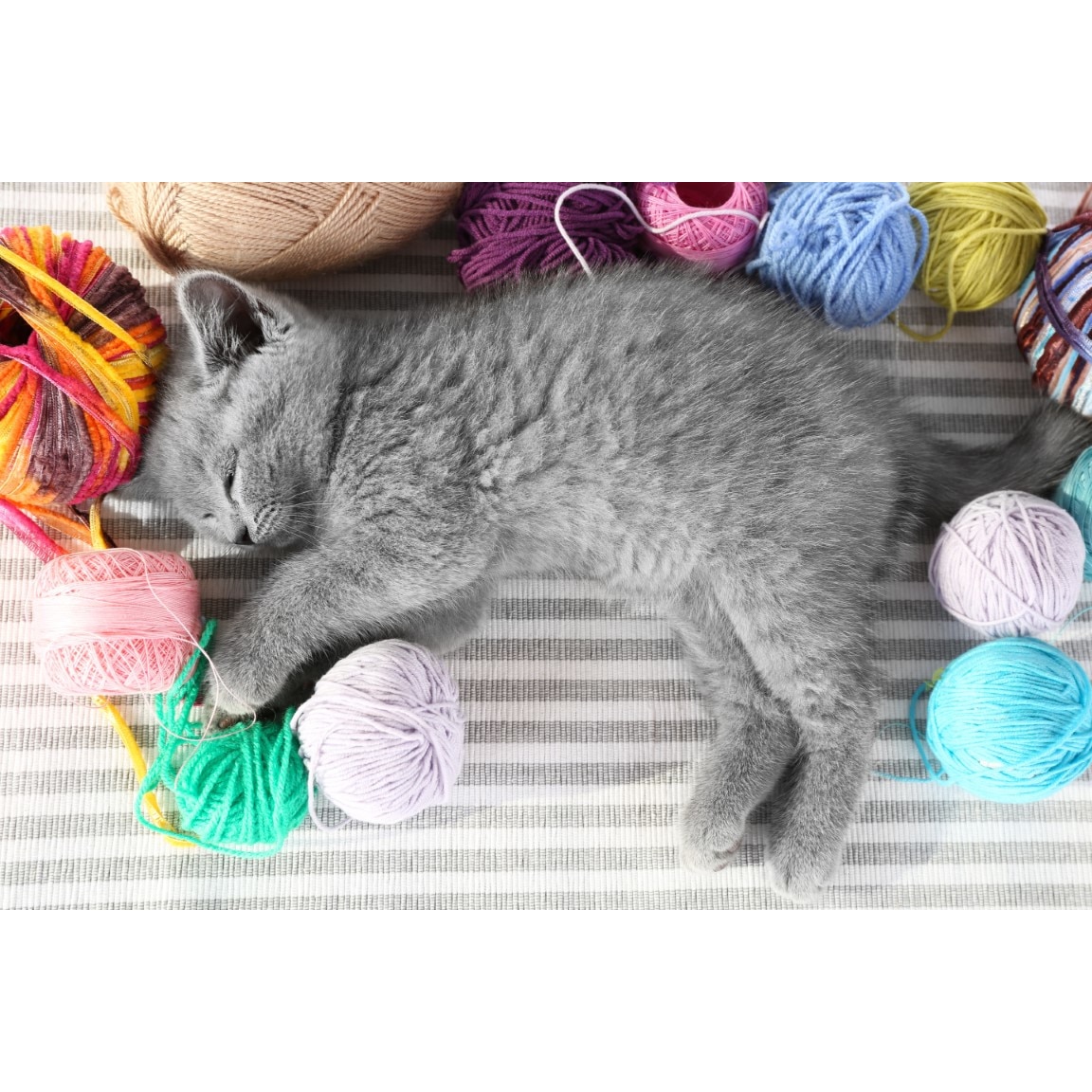 Tablou canvas Pisica18, 75 x 50 cm