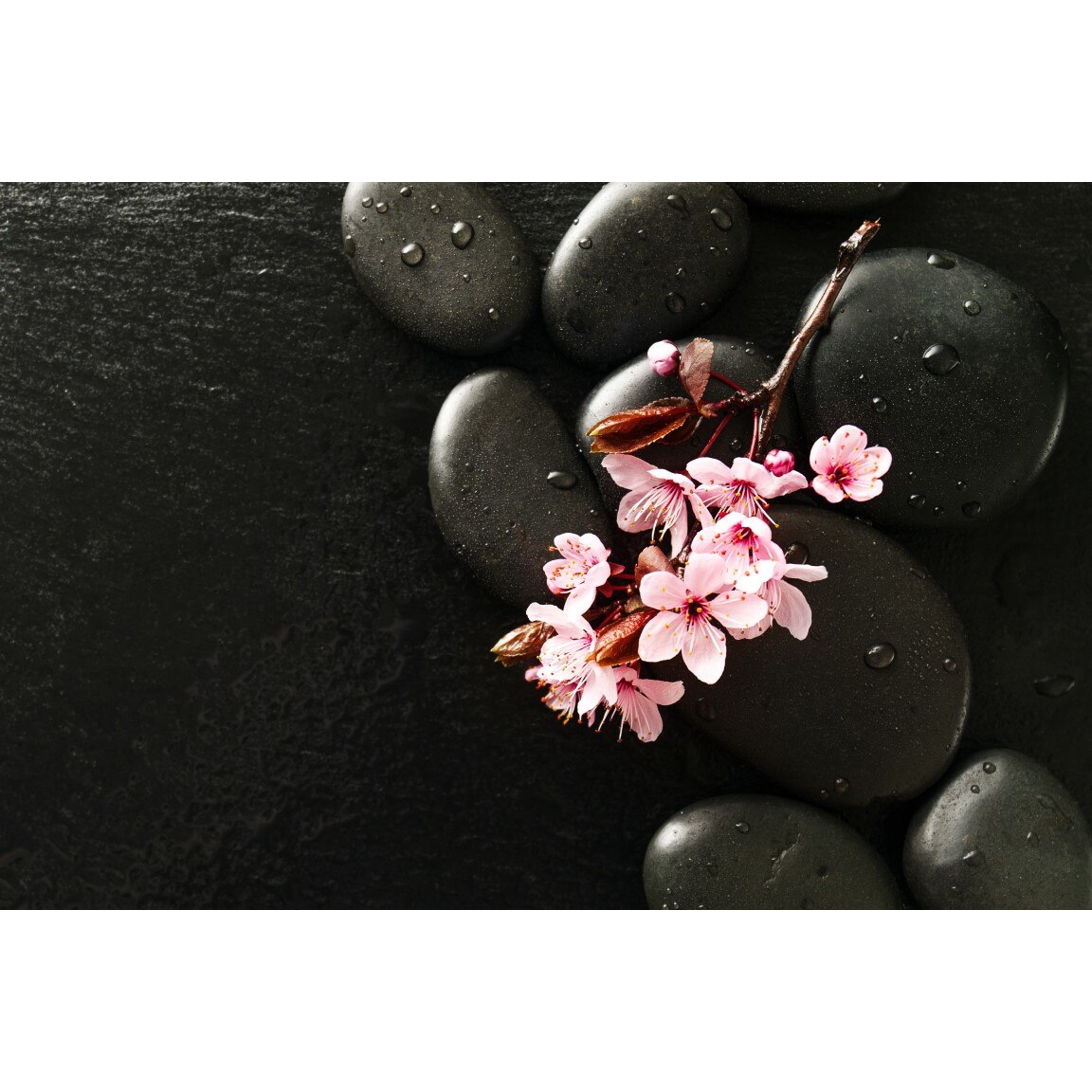 Tablou canvas Flori147, 60 x 90 cm