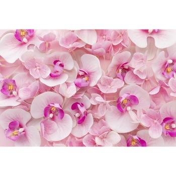 Tablou canvas Flori161, 90 x 60 cm Tablou canvas Flori161, 90 x 60 cm