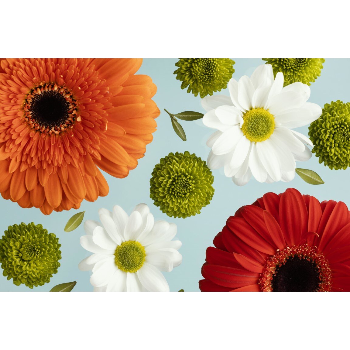 Tablou canvas Flori162, 60 x 40 cm