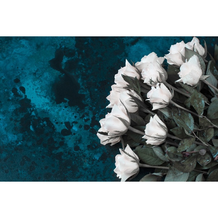 Fototapet Flori172 Trandafiri albi, 250 x 200 cm