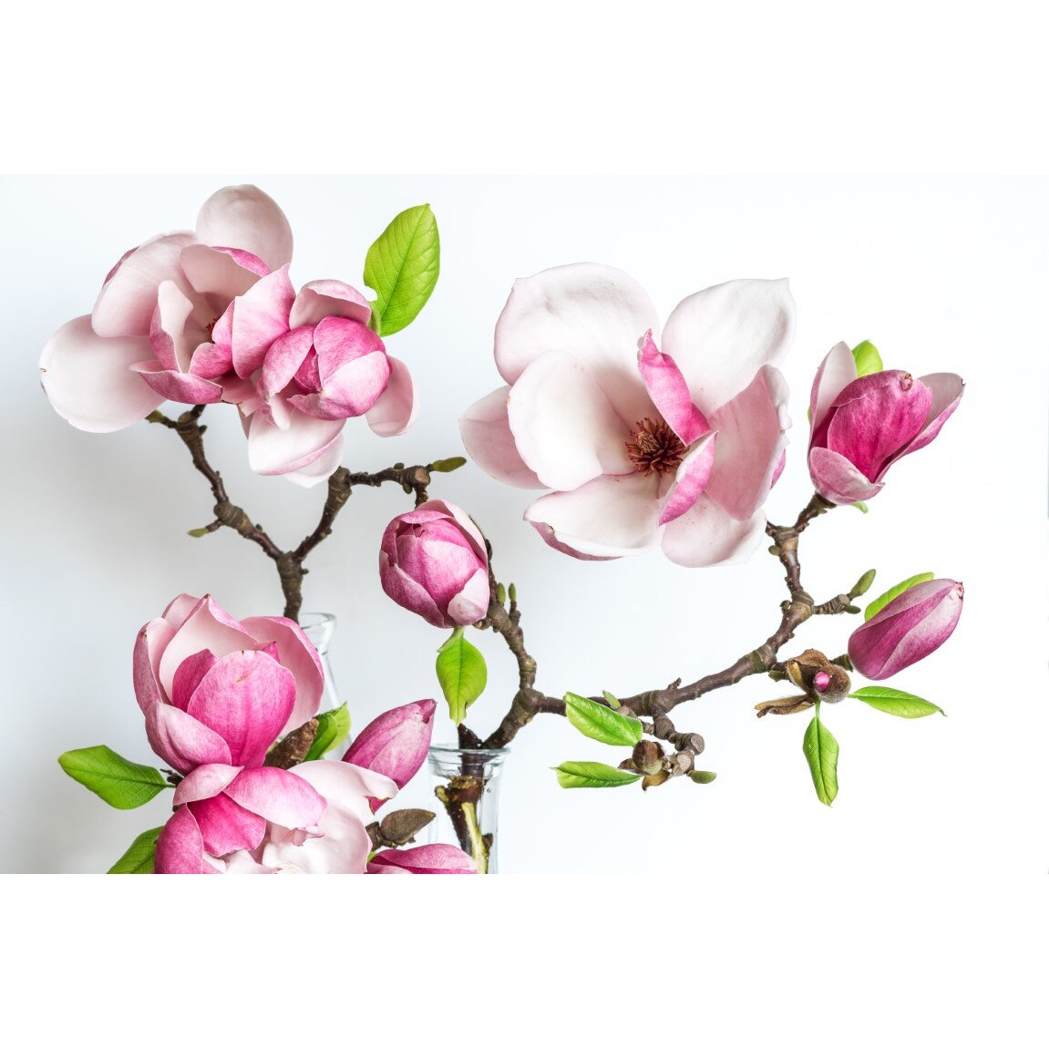 Tablou canvas Flori149, 45 x 30 cm