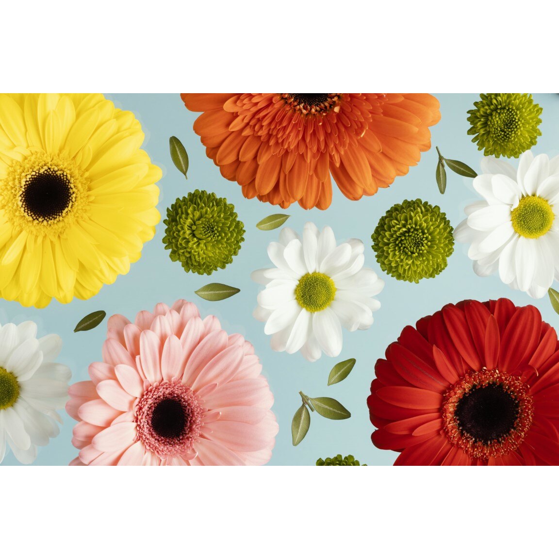 Tablou canvas Flori171, 75 x 50 cm