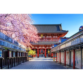 Fototapet de perete autoadeziv si lavabil Flori153 Templu japonez cu ciresi infloriti, 270 x 200 cm Fototapet de perete autoadeziv si lavabil Flori153 Templu japonez cu ciresi infloriti, 270 x 200 cm