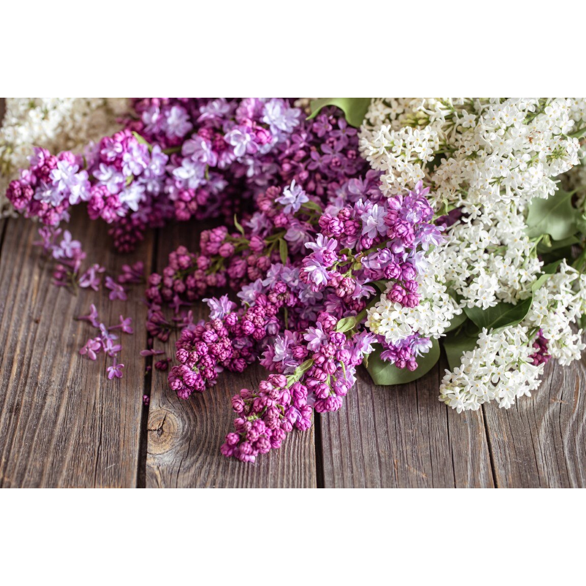 Tablou canvas Flori150, 45 x 30 cm