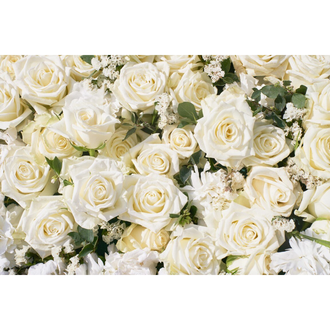 Tablou canvas Flori173, 45 x 30 cm