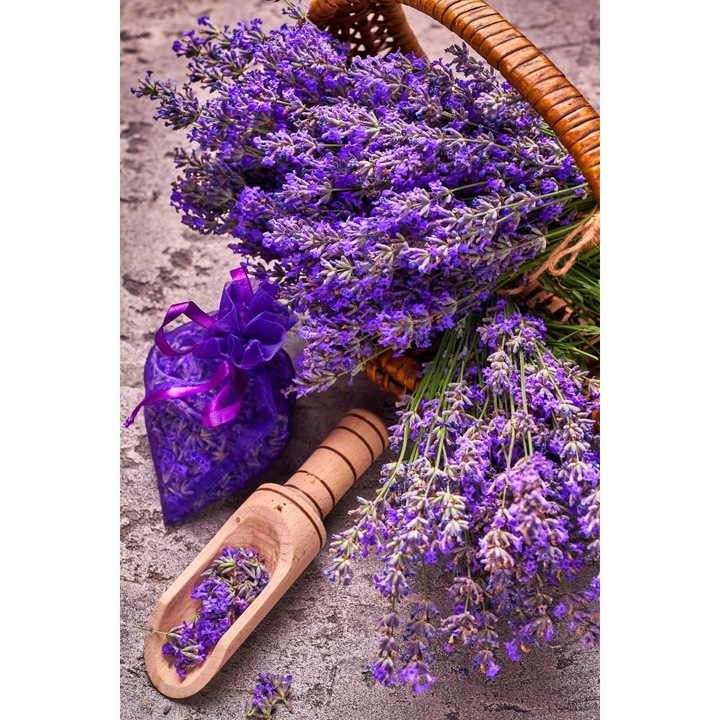 Blueback MAT Flori167 fotótapéta, Kosár levendulával, 200 x 255 cm