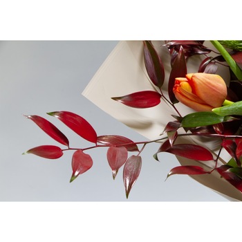 Tablou canvas Flori160, 30 x 45 cm Tablou canvas Flori160, 30 x 45 cm